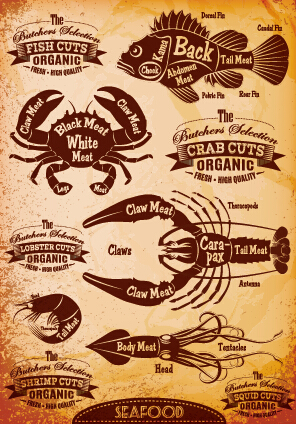 Vintage seafood cuts labels vector vintage seafood labels cuts   