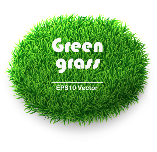 Green Grass background 04 green grass green grass background   