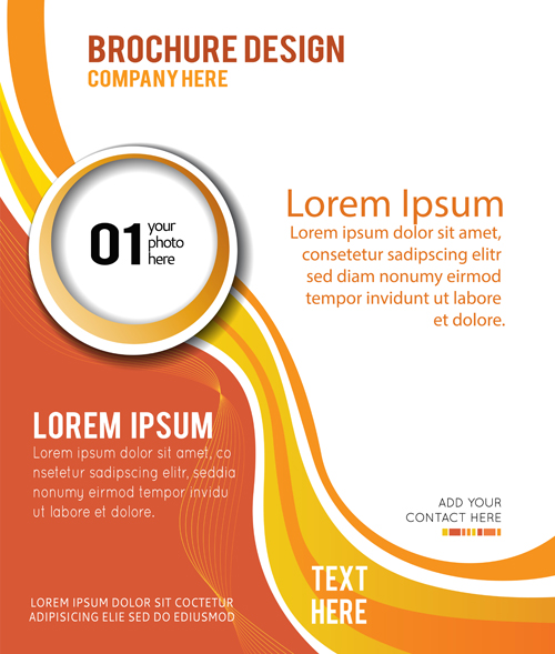 Abstract brochure business template vector 01 template business abstract   