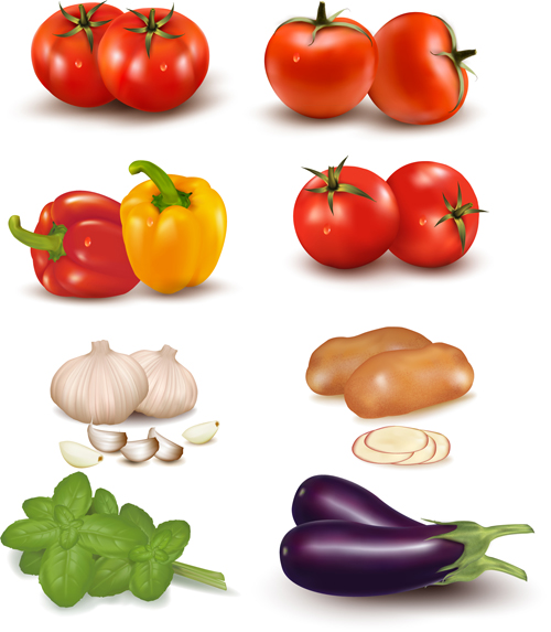 Vivid Vegetables design vector 01 vegetables vegetable   