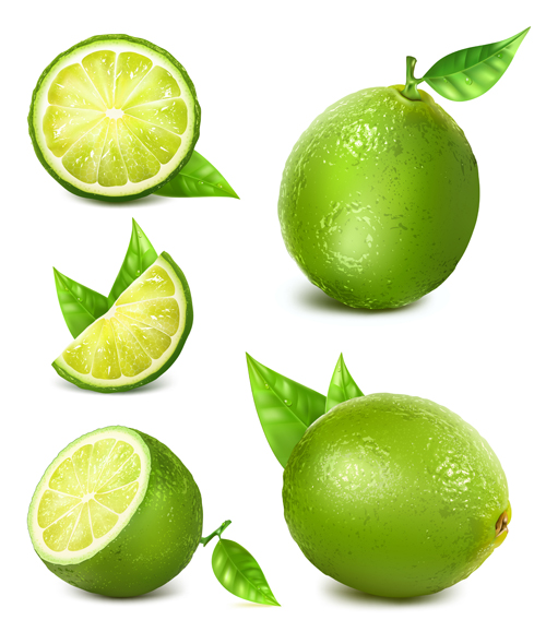 Green lemon vector material vector material lemon green   