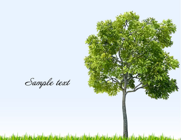 Different tree design elements vector 04 tree elements element different   