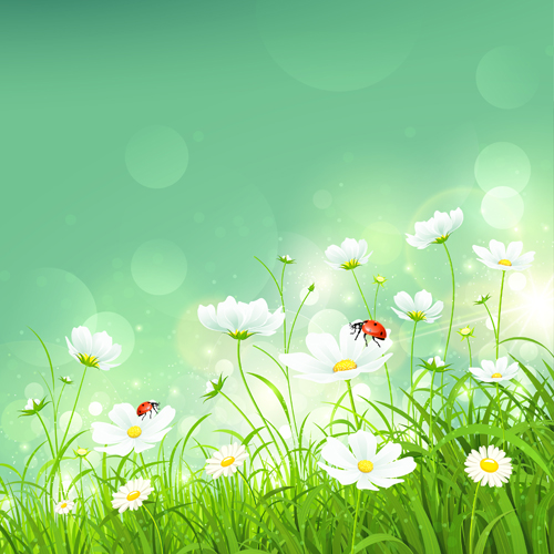 Coccinella and white flower shiny background vector shiny flower background vector background   