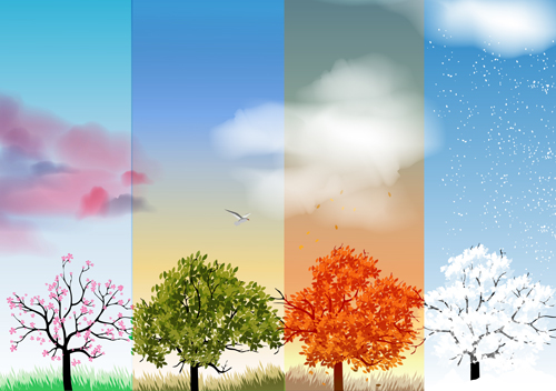 Tree with four seasons vector material 04 vector material season four seasons   
