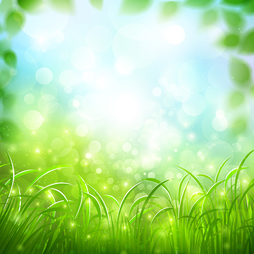Green grass with halation background vector halation green grass background vector background   