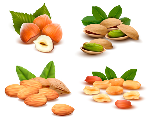Various nuts set vectors Various nuts   