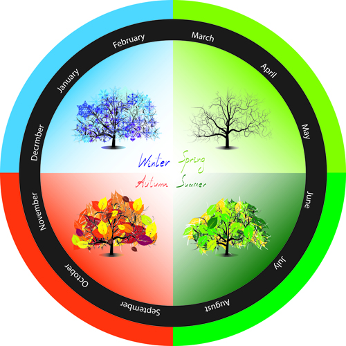 Tree with four seasons vector material 03 vector material season four seasons   