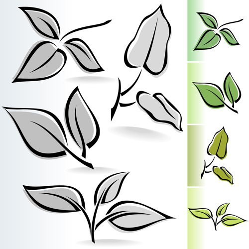 Simple leaf creative vector set 04 simple leaf creative   