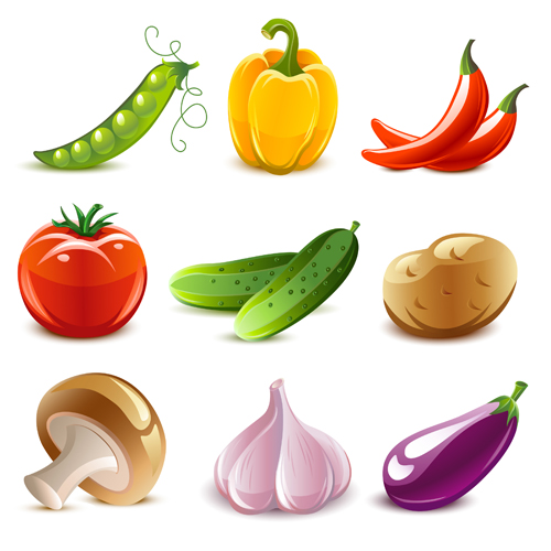 Elements of Various Glossy fruit vector 04 Various glossy fruit elements element   
