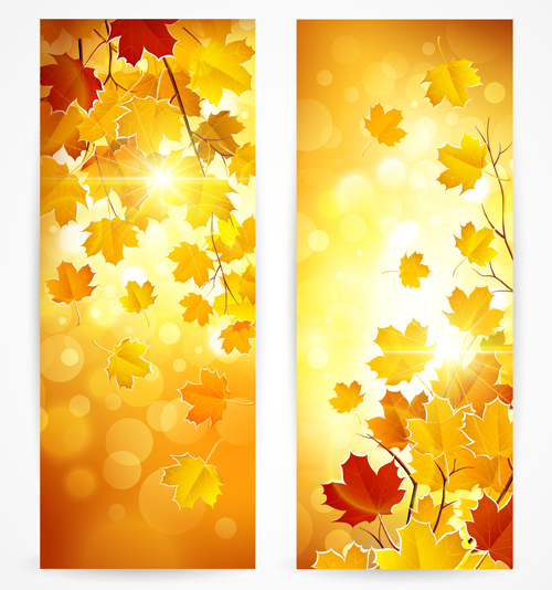 Shiny banner autumn leaves vector shiny leaves banner autumn leaves autumn   
