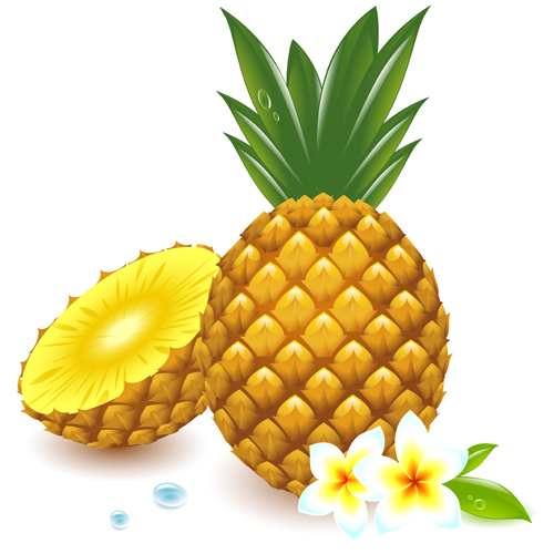 Fresh Pineapple vector graphic pineapple fresh   