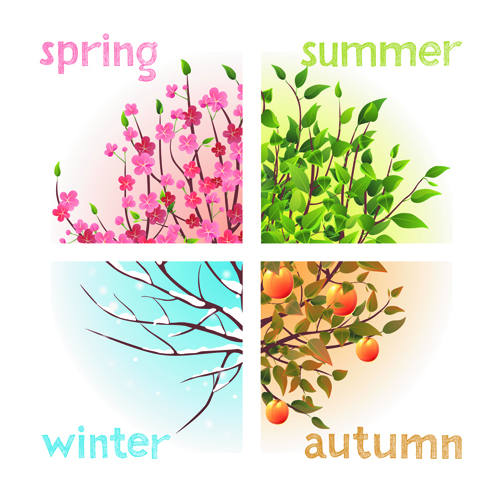 Tree with four seasons vector material 02 vector material tree season four seasons   