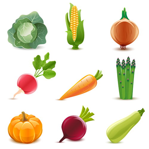 Elements of Various Glossy fruit vector 05 Various glossy fruit elements element   