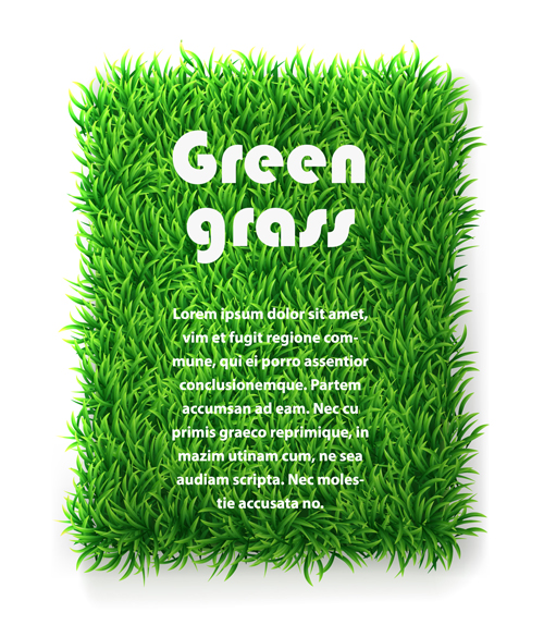 Green Grass background 03 green grass green grass background   