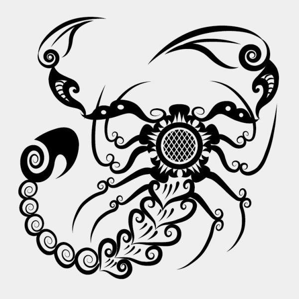 Hand drawn Scorpion Decoration Pattern vector scorpion pattern hand drawn decoration   