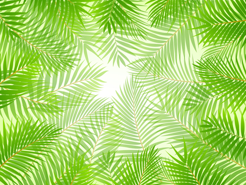 Elements of Tropical Scenery background vector 01 tropical scenery elements element   
