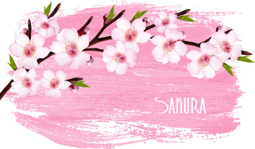 Beautiful sakura vector background graphics 03 Vector Background sakura beautiful   