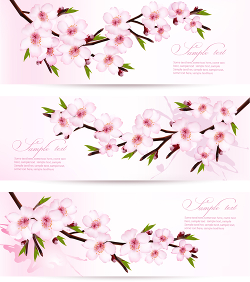 Pink sakura banner vector material vector material pink material design banner   