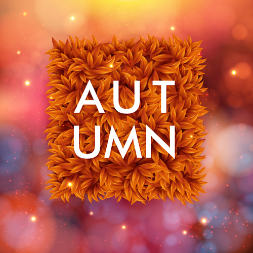 Autumn offer vector background graphics 02 offer background autumn   