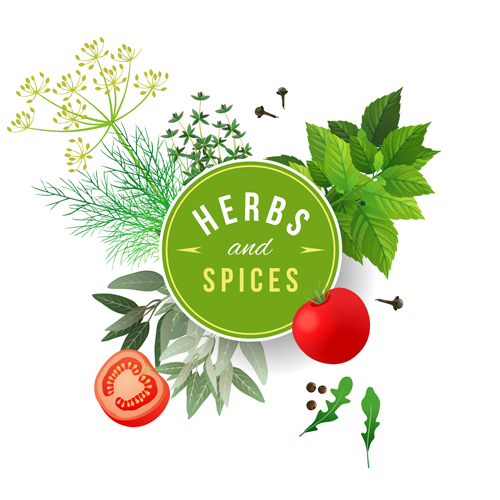 Refreshing herbs and spices vector background 01 spices refreshing herbs background   