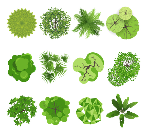 Green herbs and spices icons vector spices icons green   