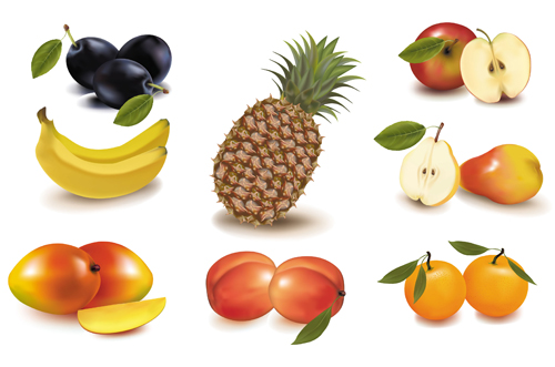 Different Fruit elements vector set fruit elements element different   