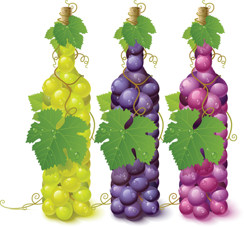 Vivid grapes elements vector background art 02 grapes elements element   