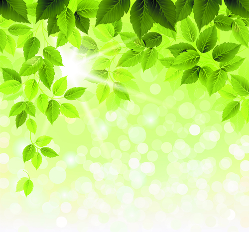 Refreshing green leaves background vector 03 refreshing leaves background green leaves green background vector background   