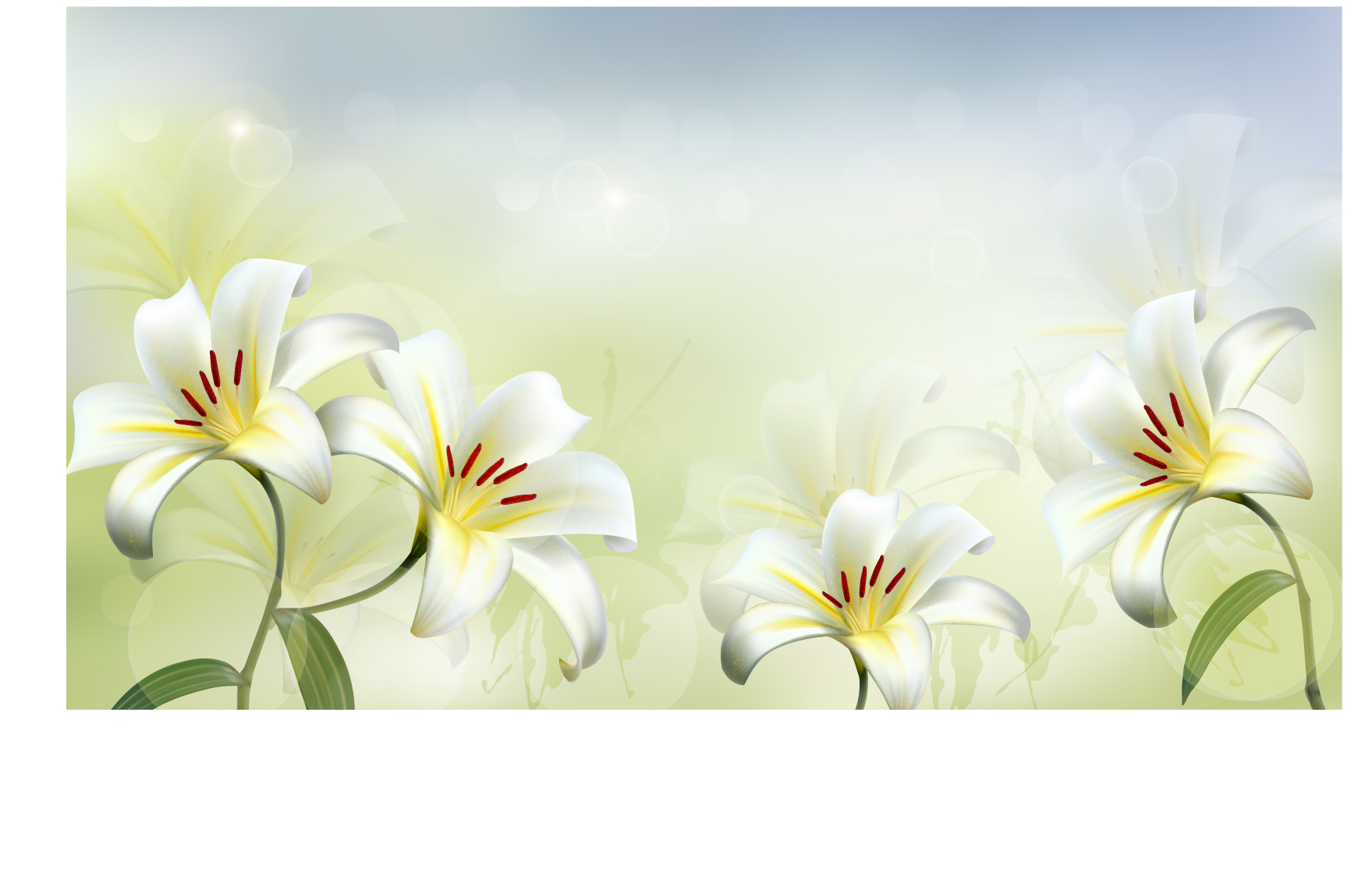 Beautiful white flower vector background 02 Vector Background flower beautiful background   