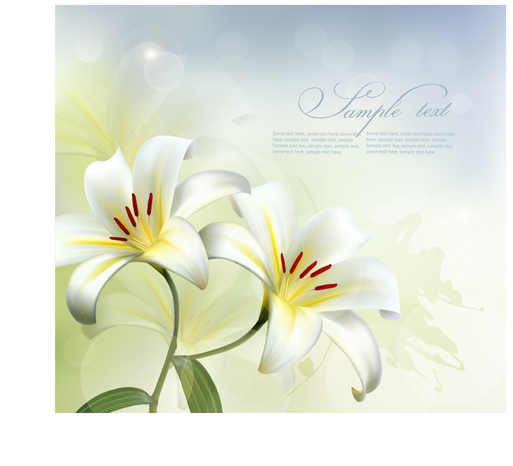 Beautiful white flower vector background 01 Vector Background flower beautiful background   