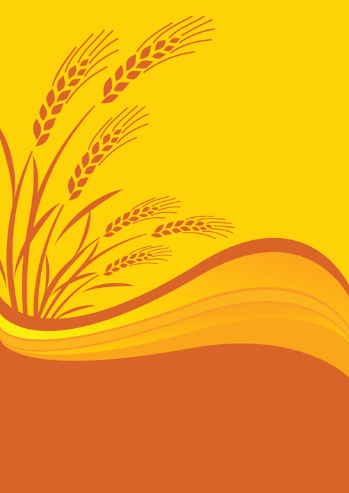 Golden Wheat vector background set 06 wheat golden   