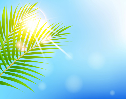 Shiny Summer background vector 09 summer shiny background vector background   