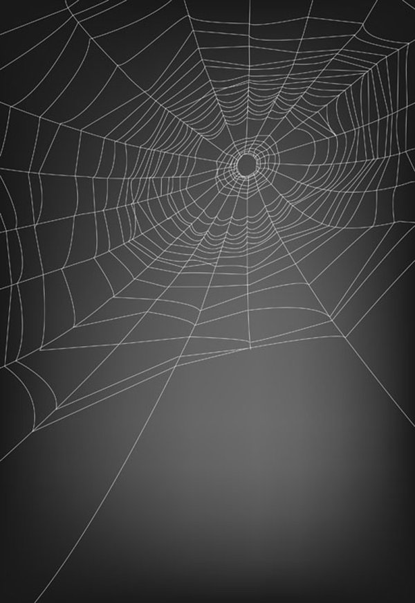 spiderweb design elements vector 04 spiderweb elements element   