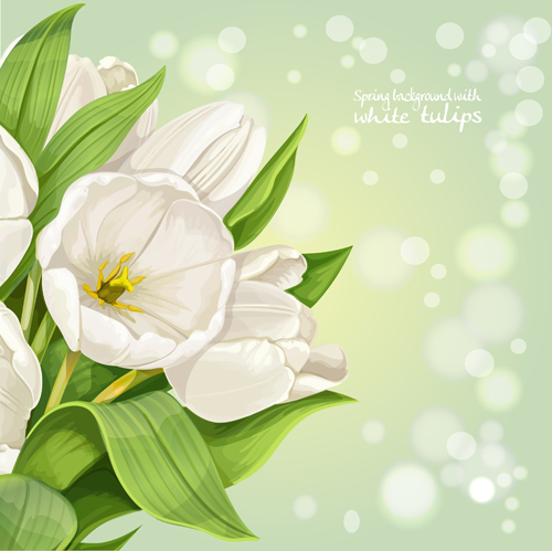 Shiny white tulips vector background graphics Vector Background tulips spring shiny background   