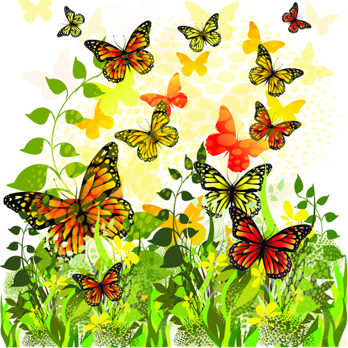 Beautiful butterfly vector material 01 butterfly butterflies beautiful   