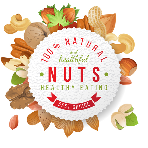 nuts with round paper vector background paper nuts background   