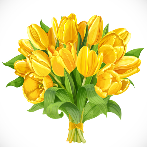 Beautiful yellow tulips vector yellow tulips beautiful   