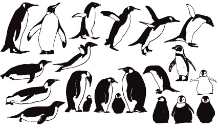 Penguin cute vector and Photoshop shapes shapes photoshop penguin cute   
