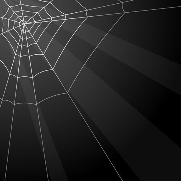 spiderweb design elements vector 01 spiderweb elements element   