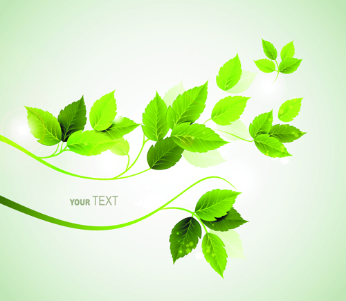 Refreshing green leaves background vector 02 refreshing leaves background green leaves green background vector   