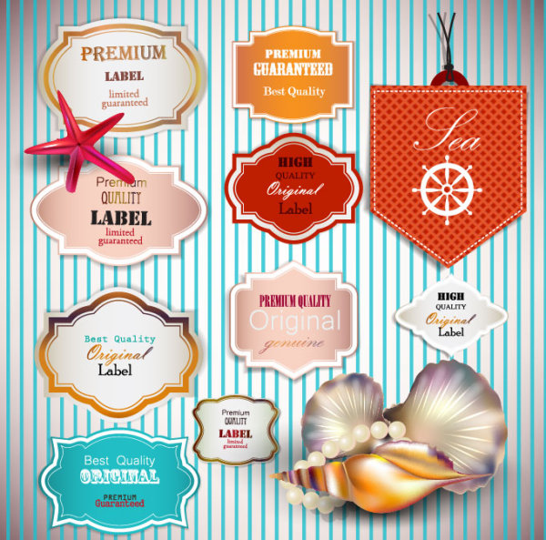 pearls and seashells elements label vector 01 seashells pearls label   