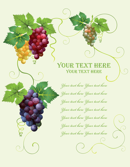 Retro style grape wine background vector 02 style Retro font grape wine   