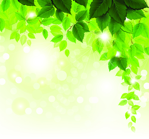 Refreshing green leaves background vector 01 refreshing leaves background green leaves green background vector background   