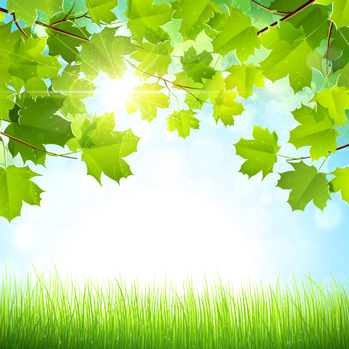 Sunlight with nature background art vector sunlight nature background   