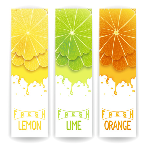 Banner fresh fruit drink vector 01 fruit fresh drink banner   