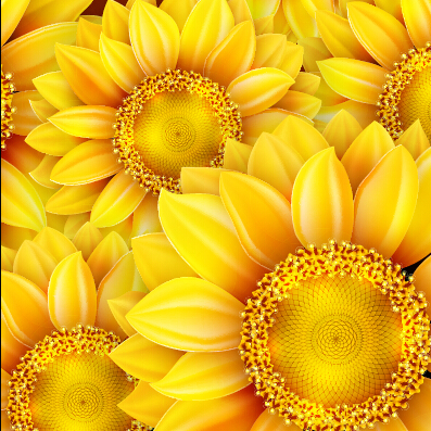 Realistic sunflowers vector seamless pattern 01 sunflower seamless realistic flowers   