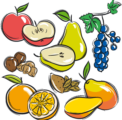 Hand drawn fruits graphics vector 05 hand drawn fruits drawn   