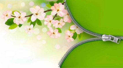 Green background with pink flower vector pink green flower background   