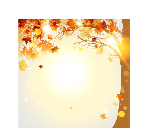 Bright autumn leaf backgrounds vector set 03 leaf background bright backgrounds background   