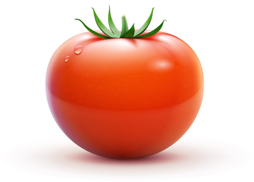 Juicy fresh tomato graphics vector 03 tomato juicy fresh   